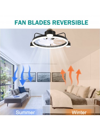 Oaks Aura 28in. LED Starry Night...