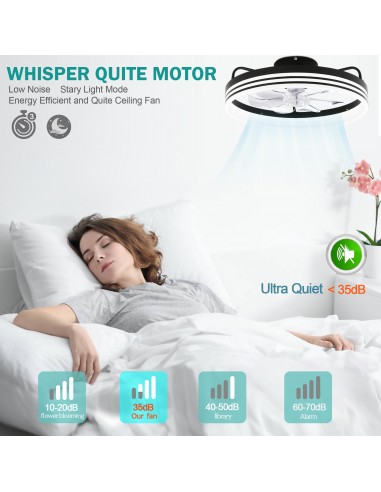 Oaks Aura 20in.Bladeless Smart App...