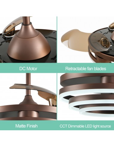 Oaks Aura 42in. DIY Shape LED...