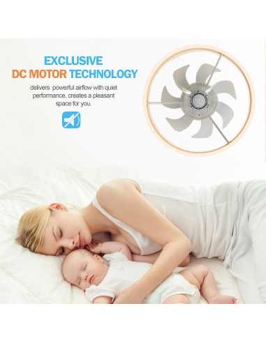 Oaks Aura 20in.Bladeless Low Profile...