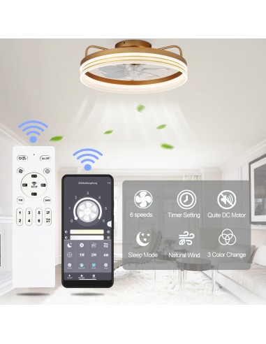 Oaks Aura 20in.Bladeless Smart App...