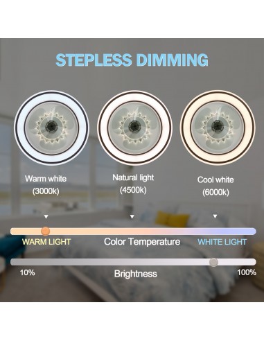 Oaks Aura 19 inch Smart App Remote...