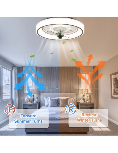 Oaks Aura 19 inch Smart App Remote...