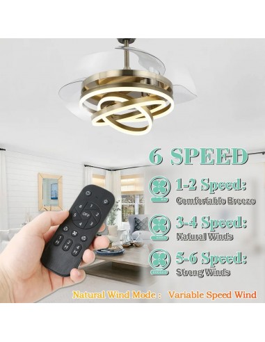 Oaks Aura 42in. DIY Shape LED...