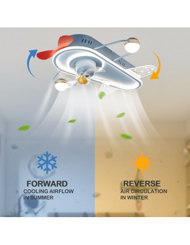 Oaks Aura 25" Aircraft-Shaped...