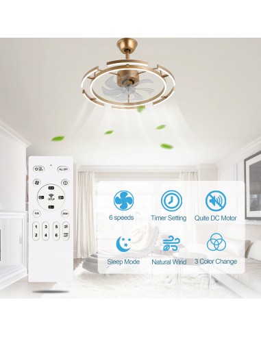 Oaks Aura DIY Shape Adjustable...