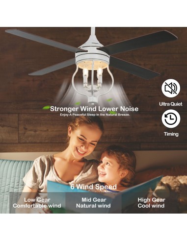 Oaks Aura 52” 4-Blade Reversible...