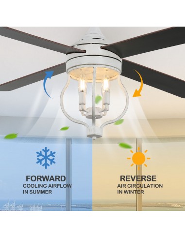 Oaks Aura 52” 4-Blade Reversible...