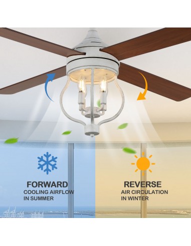 Oaks Aura 52” 4-Blade Reversible...