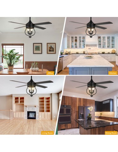 Oaks Aura 52" 4-Blade Reversible...