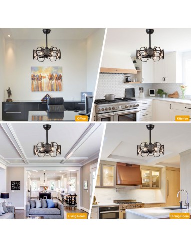 Oaks Aura 19” Glass Ceiling Fan with...