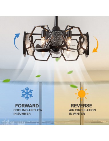 Oaks Aura 19” Glass Ceiling Fan with...