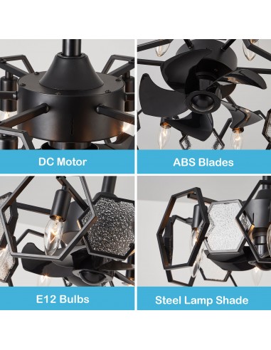 Oaks Aura 19” Glass Ceiling Fan with...