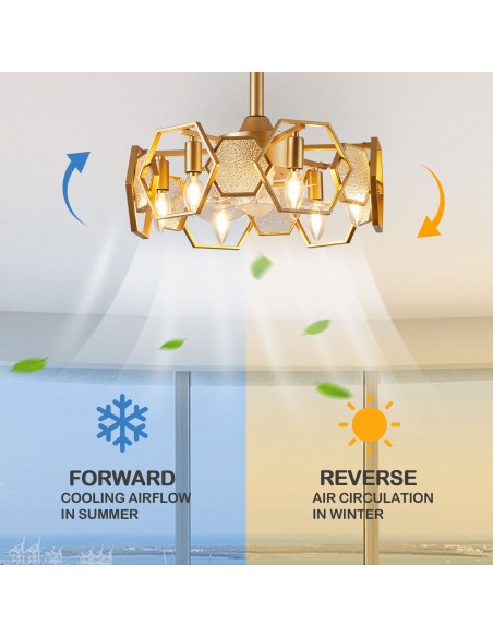 Oaks Aura 19” Glass Ceiling Fan with Lights and Remote Control, 6-Speed DC Motor Ceiling Lighting