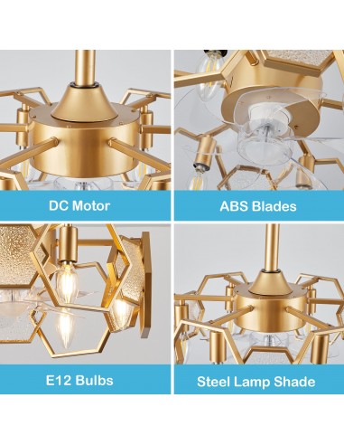 Oaks Aura 19” Glass Ceiling Fan with...