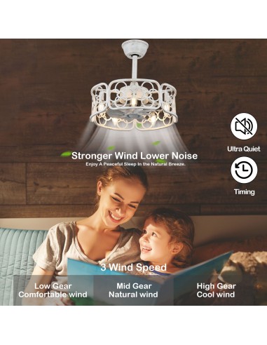 Oaks Aura 18" Farmhouse Ceiling Fan...