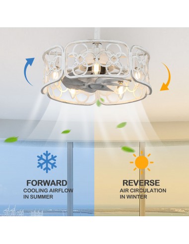 Oaks Aura 18" Farmhouse Ceiling Fan...