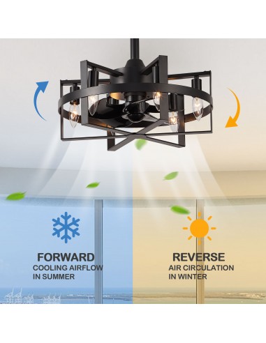 Oaks Aura 18" 6-Light Ceiling Fan...