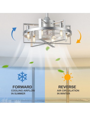 Oaks Aura 18" 6-Light Ceiling Fan...