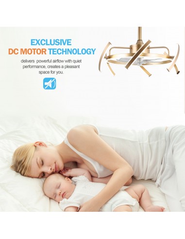 Oaks Aura DIY Shape Adjustable...