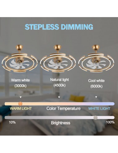 Oaks Aura DIY Shape Adjustable...