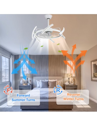 Oaks Aura DIY Shape Adjustable...