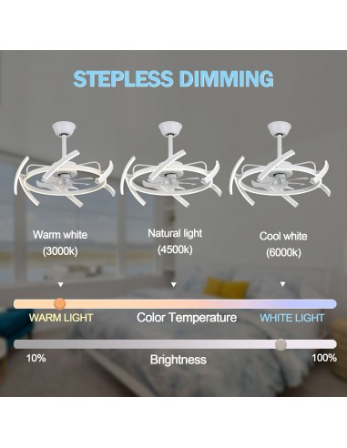 Oaks Aura DIY Shape Adjustable...