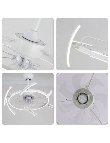 Oaks Aura DIY Shape Adjustable...