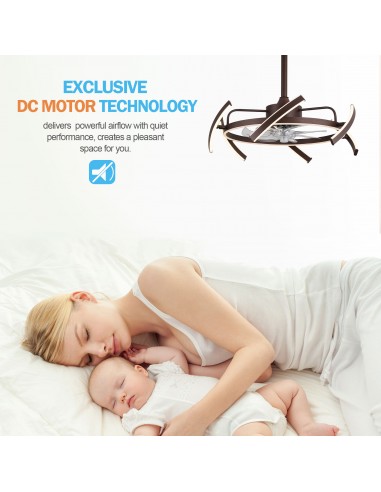 Oaks Aura DIY Shape Adjustable...