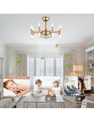 Oaks Aura 23” Ceiling Fan with Lights...