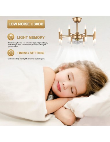 Oaks Aura 23” Ceiling Fan with Lights...