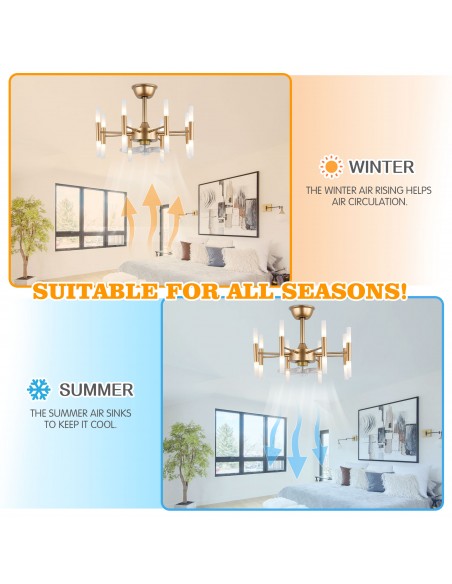 Oaks Aura 23” Ceiling Fan with Lights Remote 6-Speed Light Fixture