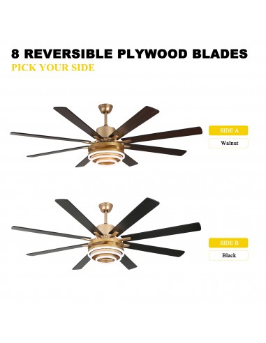 Oaks Aura 72” 8-Blade DIY Shape...