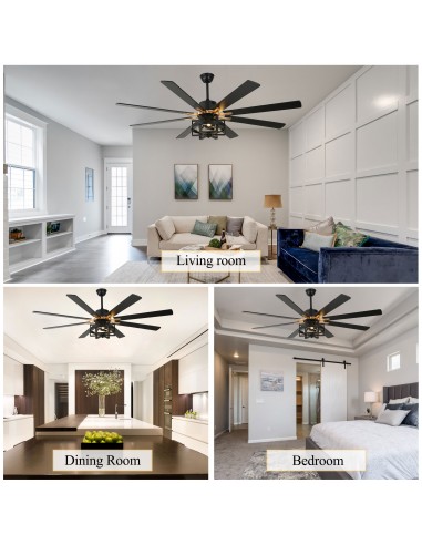 Oaks Aura 65" 8-Blade Reversible...