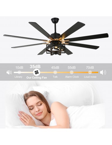 Oaks Aura 65" 8-Blade Reversible...