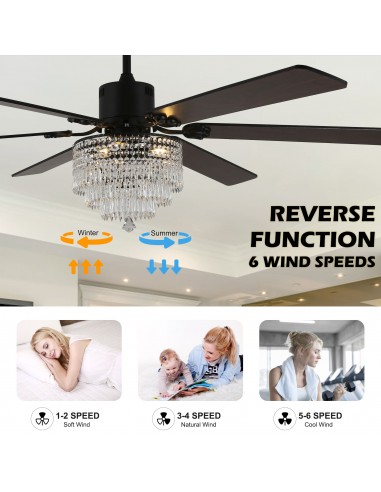 Oaks Aura 65" Smart Black Ceiling Fan...