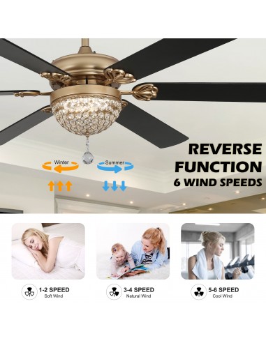 Oaks Aura 65" 6-Blade Ceiling Fan...