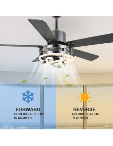 Oaks Aura 52 inch DIY Shape...