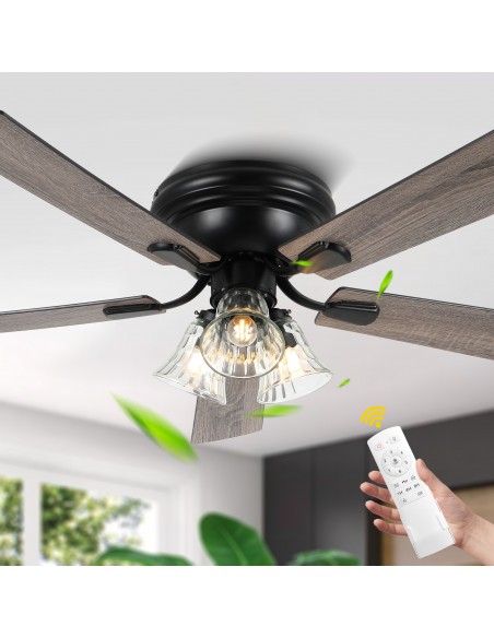 Oaks Aura 52” 5-Blade Ceiling Fan Lights and Remote Control, 6-Speed, Timer, Memory Function