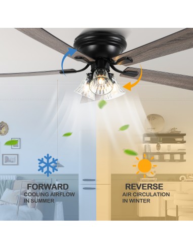 Oaks Aura 52” 5-Blade Ceiling Fan...