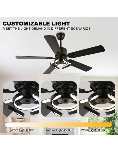 Oaks Aura 52” Reversible 5-Blade...