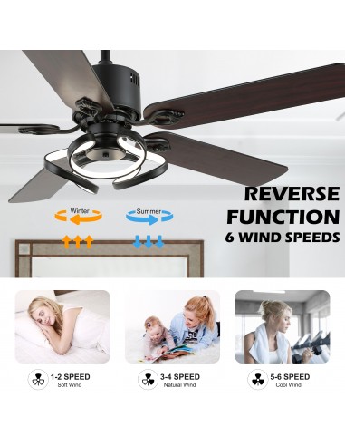 Oaks Aura 52” Reversible 5-Blade...