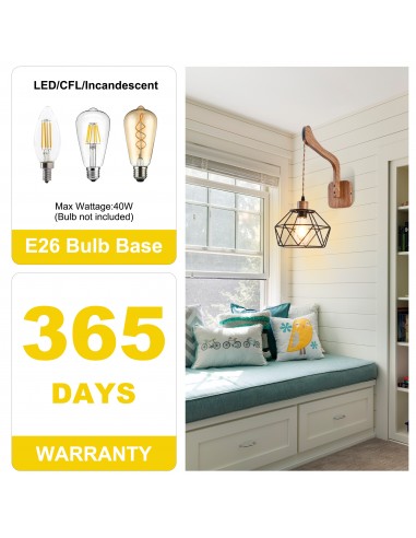 Oaks Aura 11.4" 1-Light Adjustable...