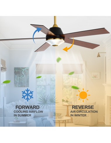 Oaks Aura 52-Inch 5-Blade Reversible...