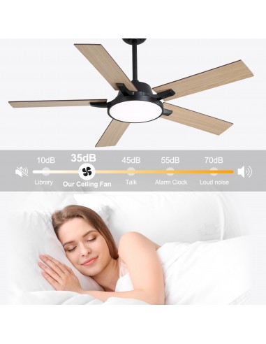 Oaks Aura 52" 5-Blade Reversible...