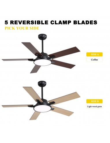 Oaks Aura 52" 5-Blade Reversible...