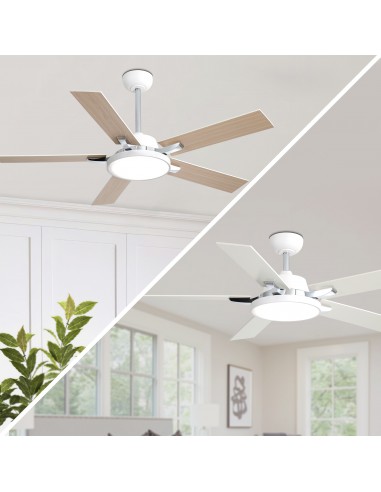 Oaks Aura 52" 5-Blade Reversible...