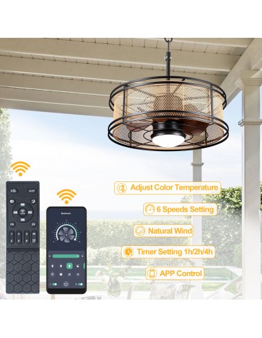 Oaks Aura 24" Outdoor Smart Ceiling...