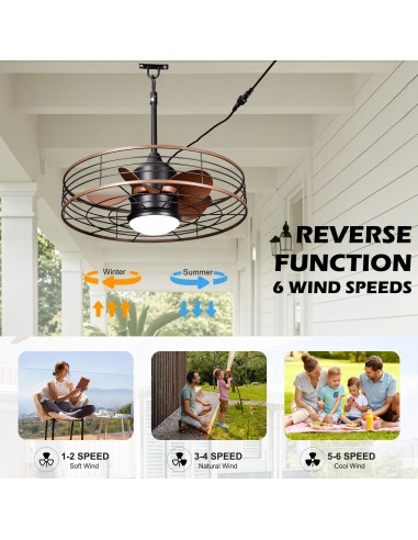 Oaks Aura 24" Outdoor Smart Ceiling...