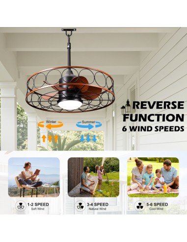 Oaks Aura 24" Outdoor Smart Ceiling...